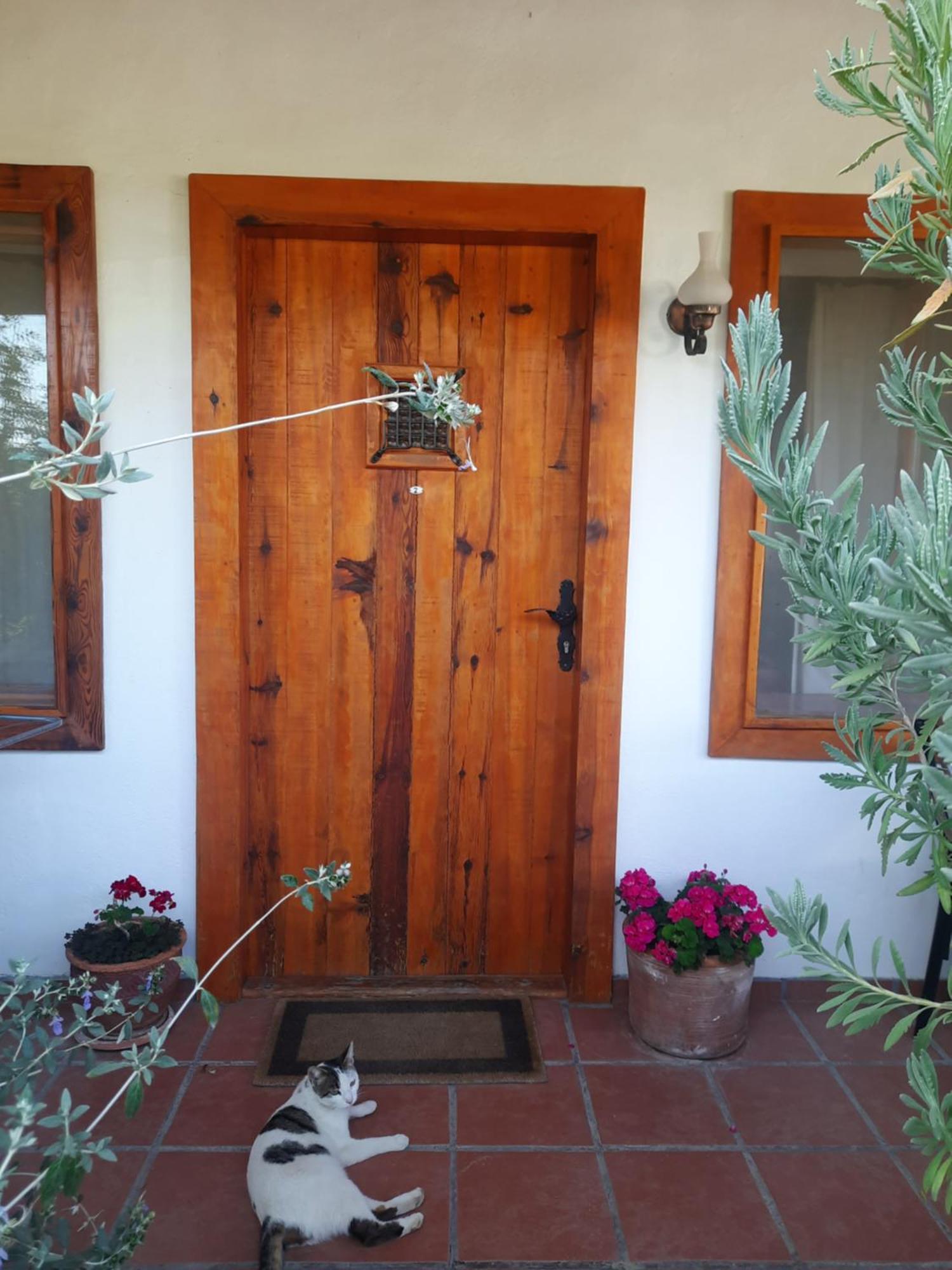 Ionia Guest House Aydin Exterior photo