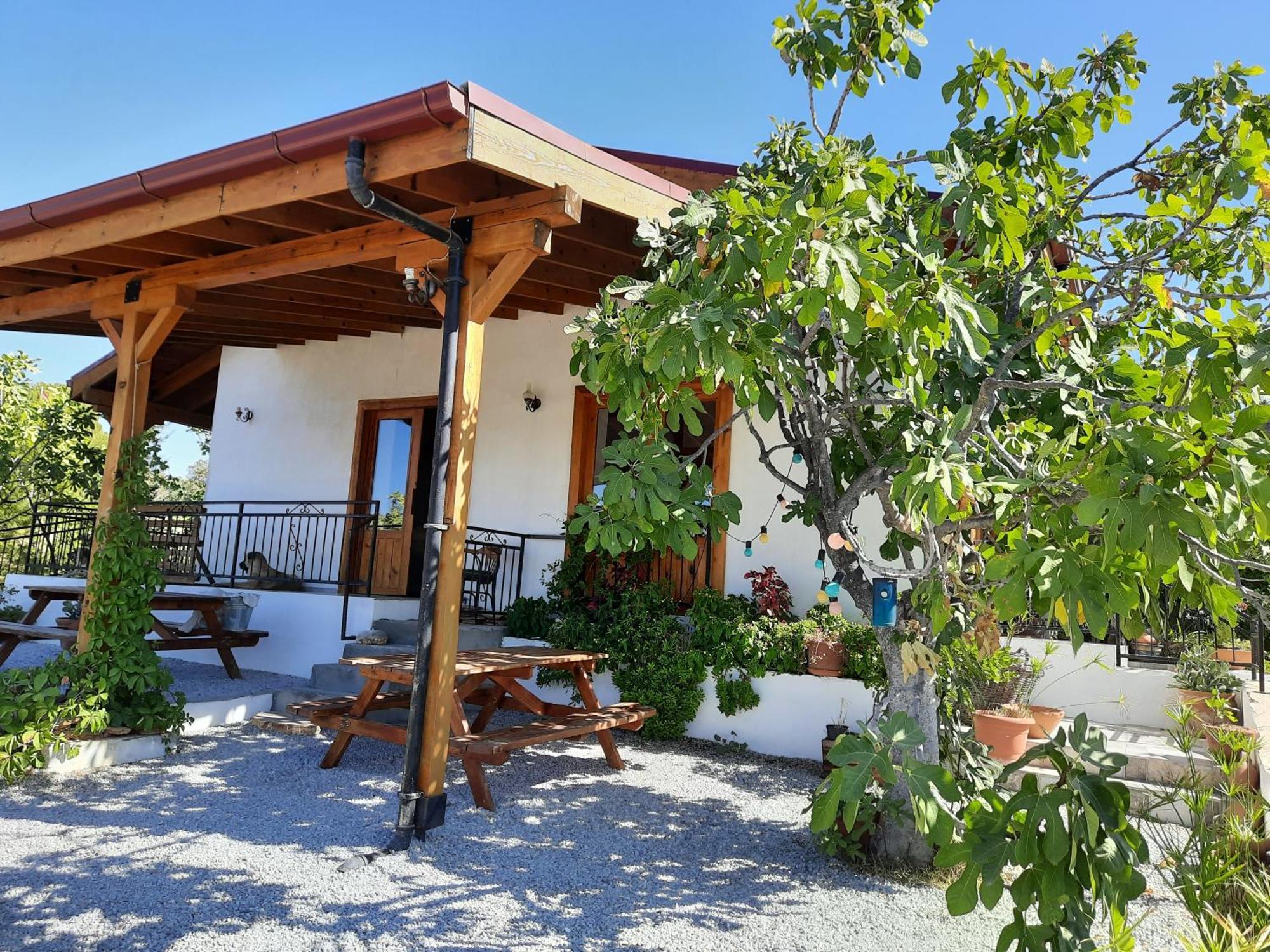 Ionia Guest House Aydin Exterior photo