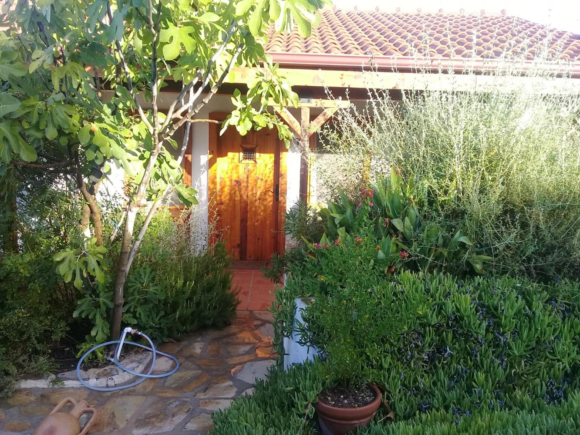 Ionia Guest House Aydin Exterior photo