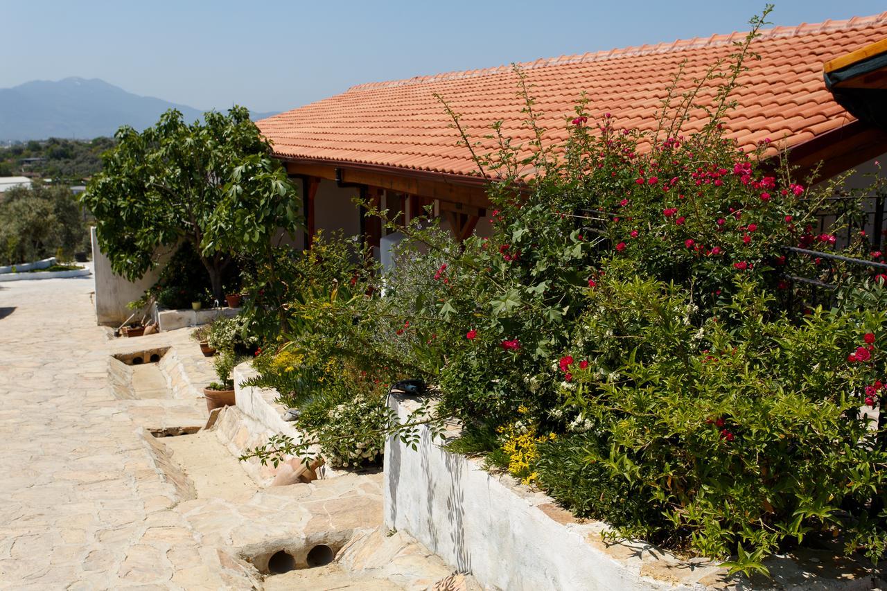 Ionia Guest House Aydin Exterior photo