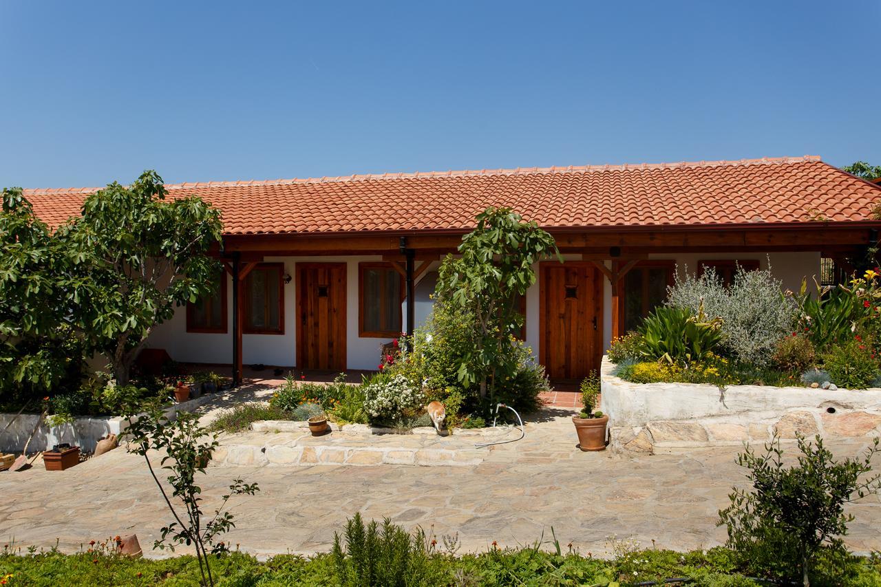 Ionia Guest House Aydin Exterior photo